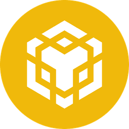 BNB Smart Chain icon